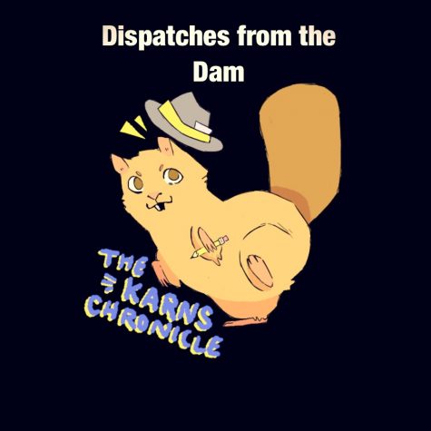 Dispatches from the Dam - Episode 1.13 - Steven Haworth