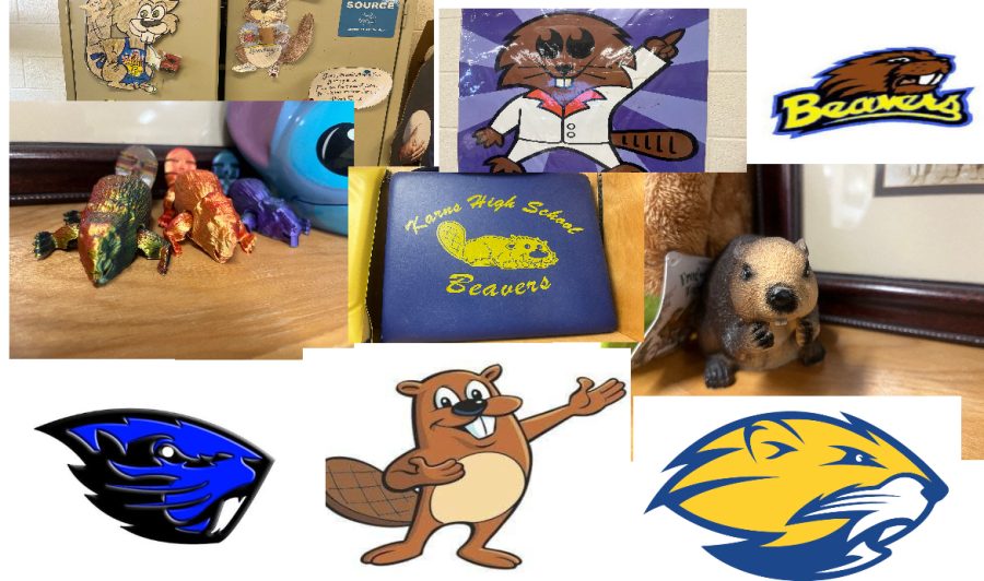 If one looks around KHS, one can see many different representations of our mascot.